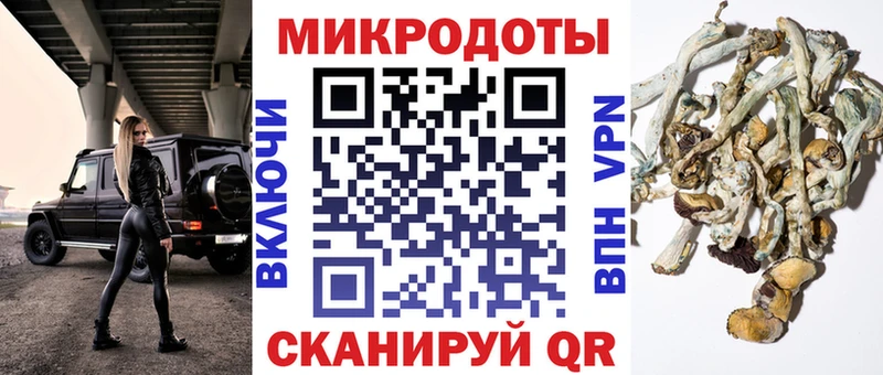 что такое наркотик  Мензелинск  Псилоцибиновые грибы MAGIC MUSHROOMS 
